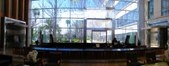 Enlarge photo 52
