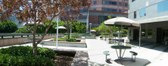 Enlarge photo 35