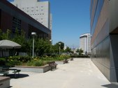 Enlarge photo 40