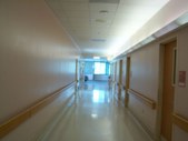 Enlarge photo 33