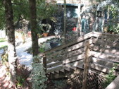 Enlarge photo 15
