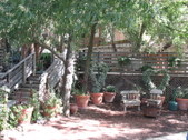 Enlarge photo 16