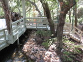 Enlarge photo 26