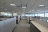 Enlarge photo 62