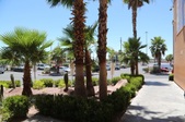Enlarge photo 53