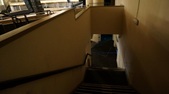 Enlarge photo 59