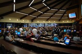 Enlarge photo 33