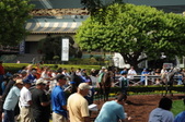 Enlarge photo 30