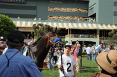 Enlarge photo 36