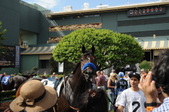 Enlarge photo 37