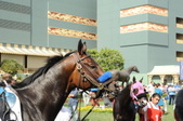 Enlarge photo 38