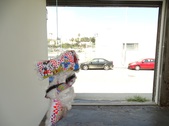 Enlarge photo 21