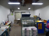Enlarge photo 38