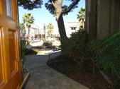 Enlarge photo 35