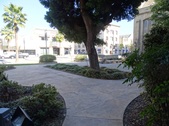 Enlarge photo 56