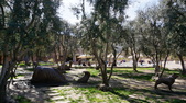 Enlarge photo 44