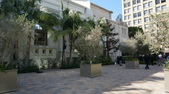 Enlarge photo 30