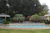 Enlarge photo 65