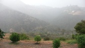 Enlarge photo 95