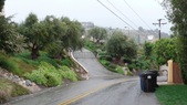 Enlarge photo 99