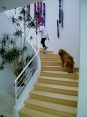 Enlarge photo 36