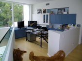 Enlarge photo 42