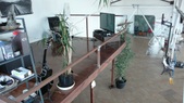 Enlarge photo 31