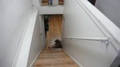 Enlarge photo 33