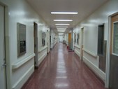 Enlarge photo 52