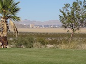 Enlarge photo 28