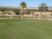 Enlarge photo 30
