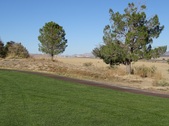 Enlarge photo 49