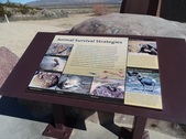 Enlarge photo 45