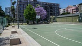 Yucca St Basketball Court
