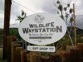 WILDLIFE WAYSTATION