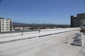 Enlarge photo 55