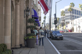 Enlarge photo 76