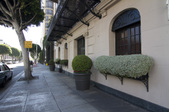 Enlarge photo 78