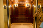 Enlarge photo 56