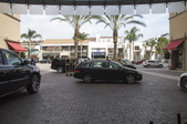 Enlarge photo 61