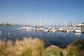 Enlarge photo 32