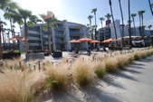Enlarge photo 52