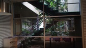 Enlarge photo 45