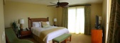 Enlarge photo 94