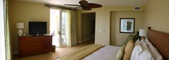 Enlarge photo 96