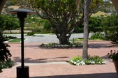 Enlarge photo 57