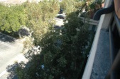 Enlarge photo 33