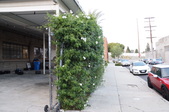 Enlarge photo 31