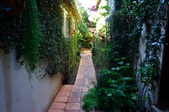 Enlarge photo 27
