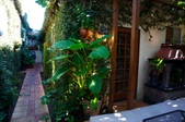 Enlarge photo 29